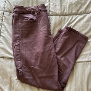 Women’s Capri Dress Pants